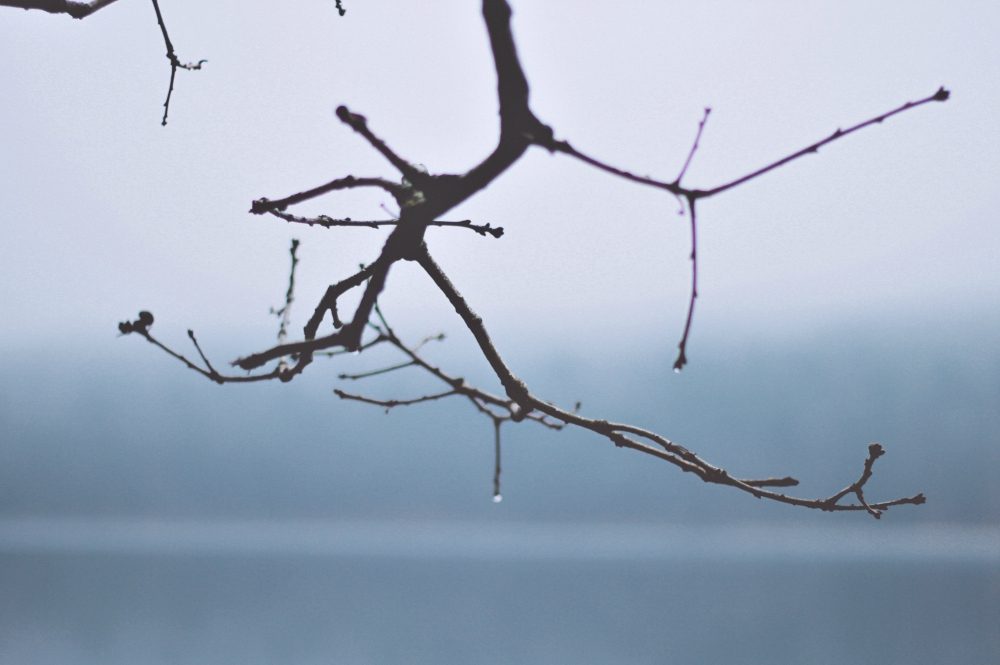 (Unsplash/Greg Rakozy) (Unsplash/Greg Rakozy)